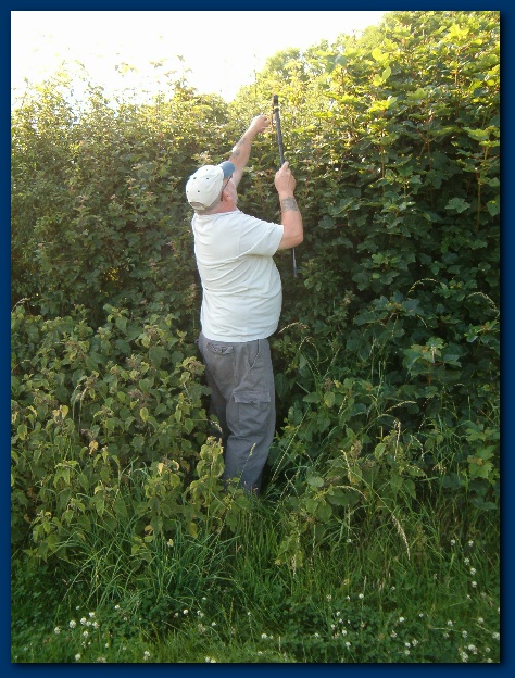 450x599 pixels (177K)